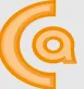 Capture All logo