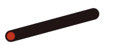 CARBON FLY