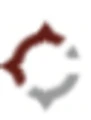Cardinal Board Services logo