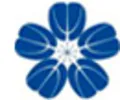 Kerui Chi  Medical Technology Development
