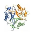 CARLBio