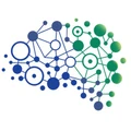 Carvingbrain