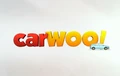 carWoo logo