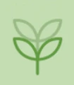 Casa din canepa logo