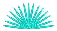 Casamigos logo