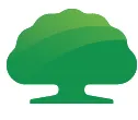 Cathay Securities logo