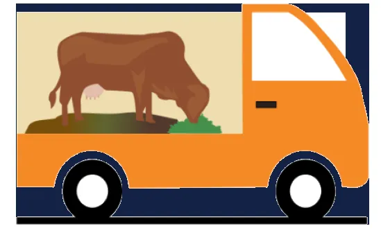 Cattle Guru