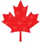 CaVirtex logo