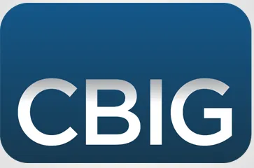 CBIG Consulting logo