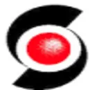 CBSI Global logo