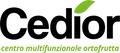 Cedior logo