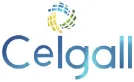 Ceigall logo