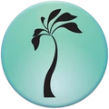 Celera IT Services logo