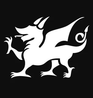 Celtic House Asia Partners logo