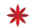 Centerpoint Solutions logo