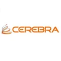 Cerebra Consulting