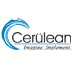 Cerulean Infotech