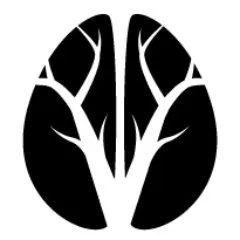 Cerveau Technologies logo