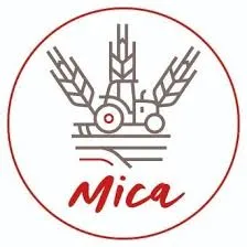 Cerveza Mica logo