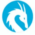 Chasseur Cyber Solutions
