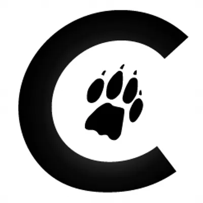 Cheetah Technologies logo