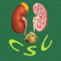 Chennai Stone Clinic logo