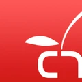 Cherrywork