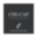 Chicago Capital logo