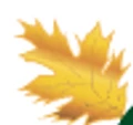 Chief River Nursery logo