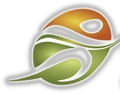 Chiromax logo