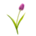 Chive logo