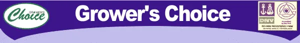 Unicorn Seeds logo