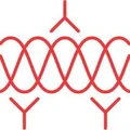 Chondrex logo