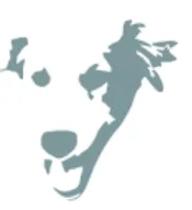 Chopper Tradding logo