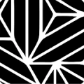Chovain logo