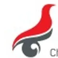 CSSD logo