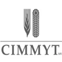 CIMMYT logo