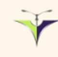 City Light SoftTech