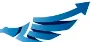 CityFALCON logo