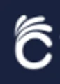 Cityindexcapital logo