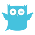 CityOwls logo