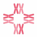 CK Birla Hospital logo