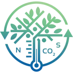 CLEANFOREST logo