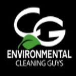 Cleaning Guys logo