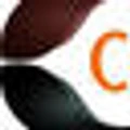 Clemhair logo