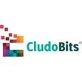 CludoBits IT Solutions