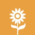 CMIT logo