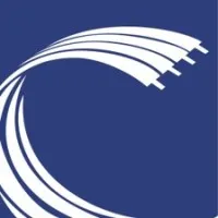 CNW Electronics logo