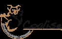 COALISE logo