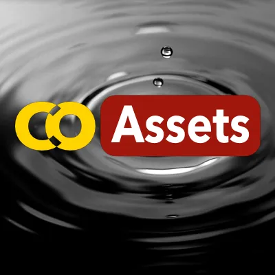 CoAssets logo